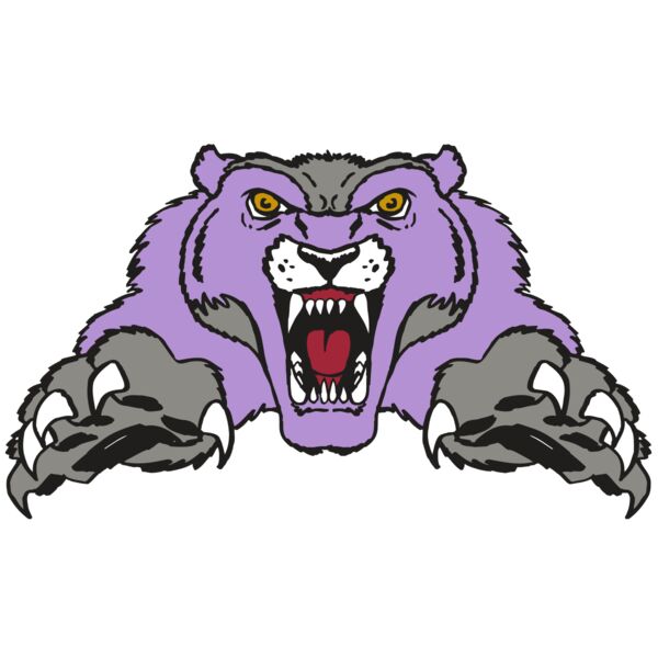 AR WOLVERINE 17 RC Vignette