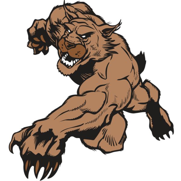 AR WILDCAT 47 RC Vignette