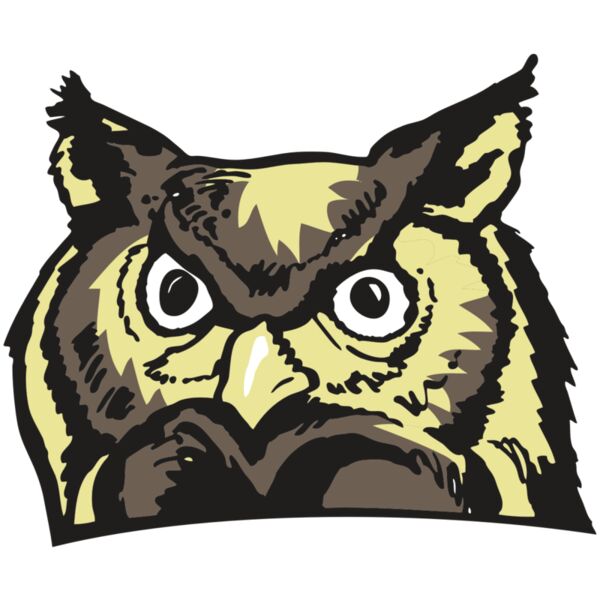 AR OWL 10 RC Vignette