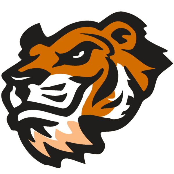 AR TIGER 21 RC Vignette