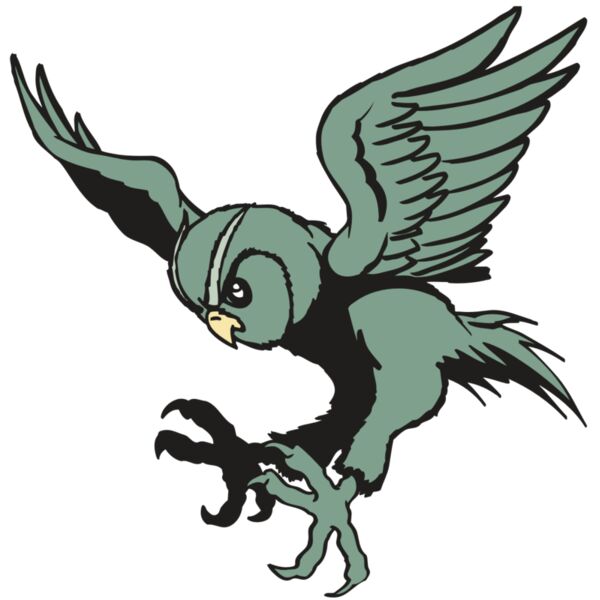 AR OWL 15 RC Vignette