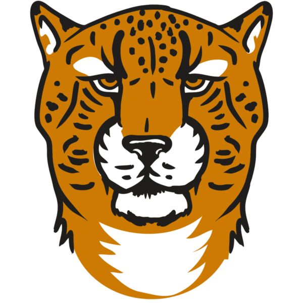 AR32 CHEETAH 01 RQC Vignette