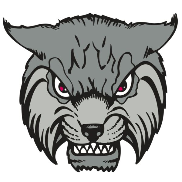 BAW BOBCAT 02 RC Vignette