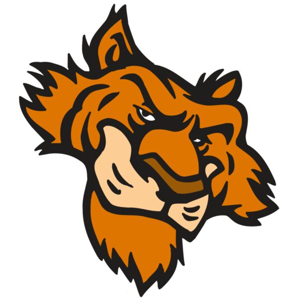 AR5 Tiger 16 RQC Vignette