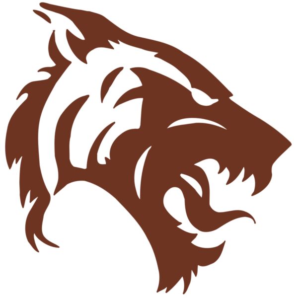 AR5 TIGER 06 RQC Vignette