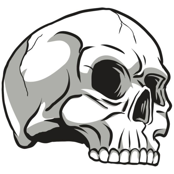 AR24 SKULL 10 RQC Vignette