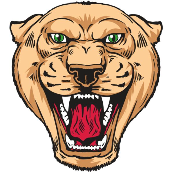 AR13 PNTHR 01 RQC Vignette