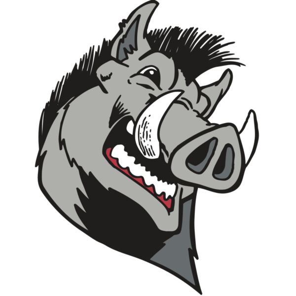 AR RAZORBACK 15 RC Vignette