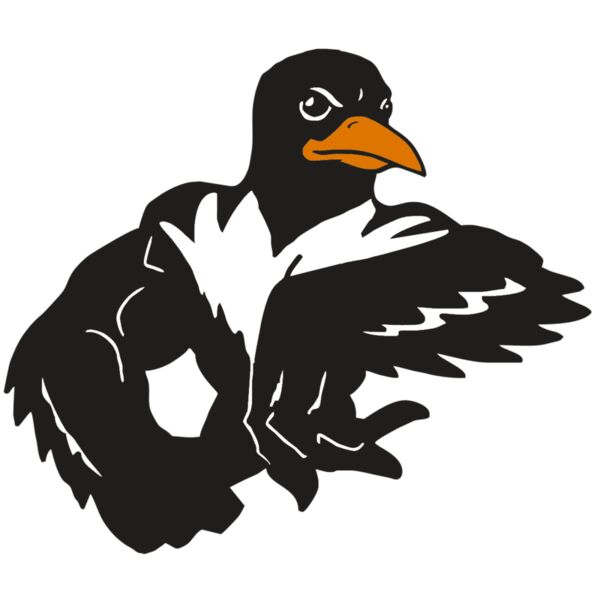 AR ORIOLE 22 RC Vignette