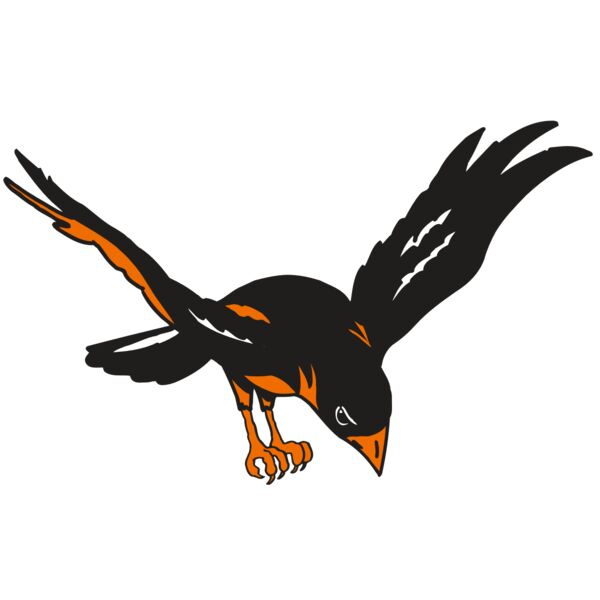 AR ORIOLE 16 RC Vignette