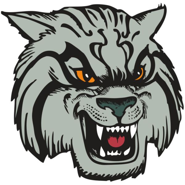 BAW WILDCAT 03 RC Vignette