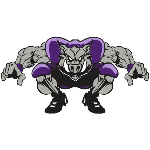 AR RAZORBACK 28 RC Vignette