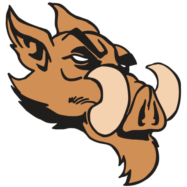 AR5 Razorback 16 RQC Vignette