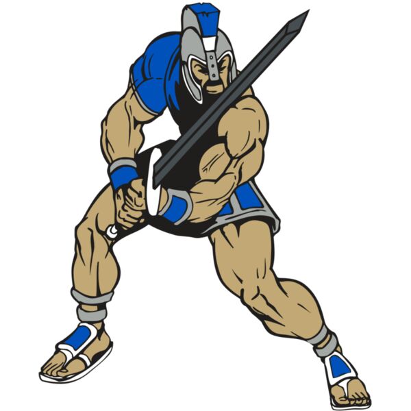 AR PALADIN 38 RC Vignette