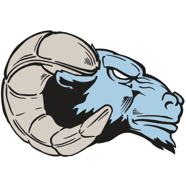 AR5 Ram 24 RQC Vignette