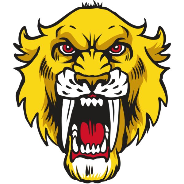 AR30 SABER 06 RQC Vignette