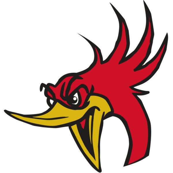 AR31 ROADRUNNER 02 RQC Vignette