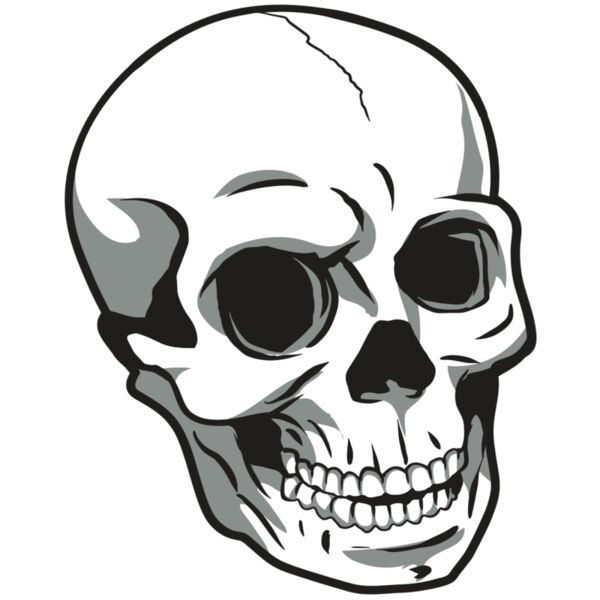 AR24 SKULL 14 RQC Vignette