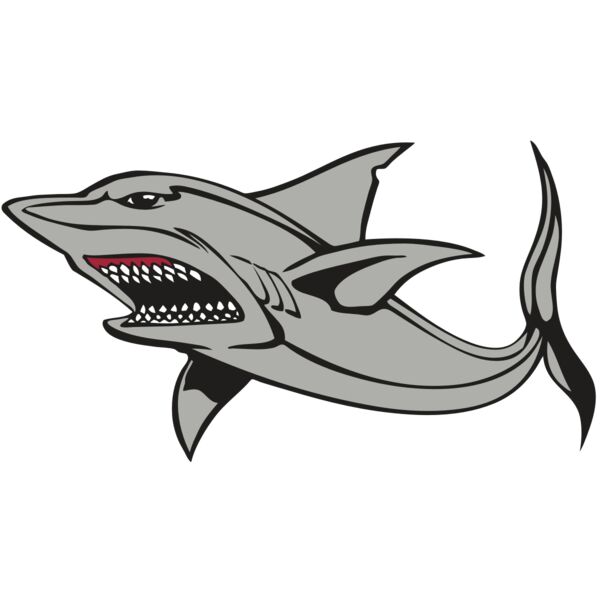 BAW SHARK 03 RC Vignette