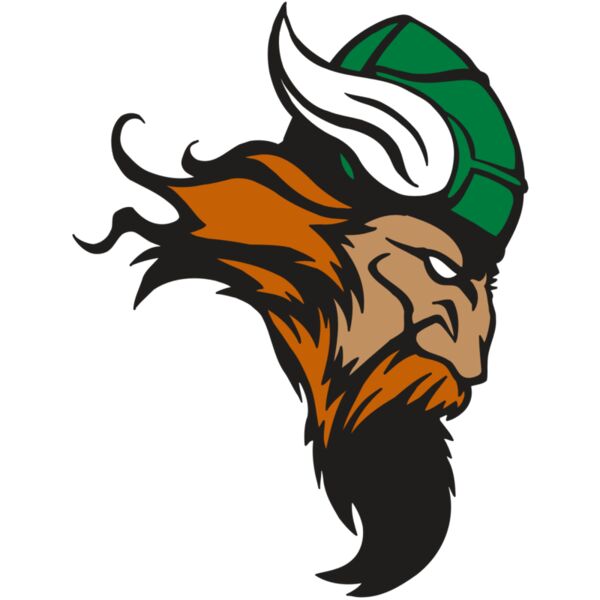 AR VIKING 07 RC Vignette