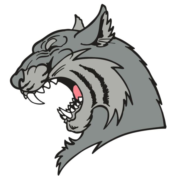 AR WILDCAT 41 RC Vignette