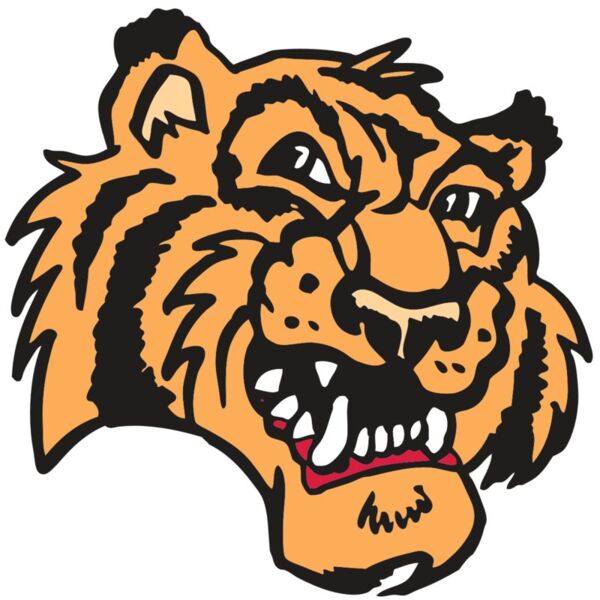 AR2 TIGER 02 RQC Vignette