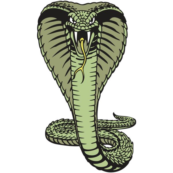 BAW SNAKE 15 RC Vignette