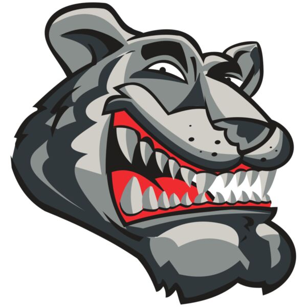 PANTHER HD0503 RQC Vignette