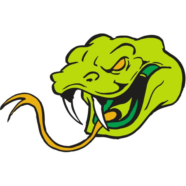 AR SNAKE 11 RC Vignette