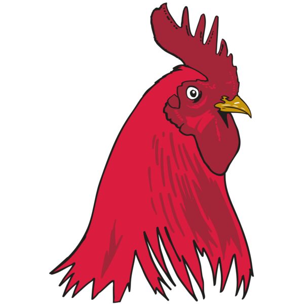 AR OTHER 19 RC Vignette