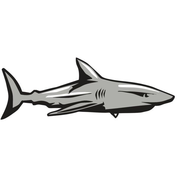 AR9 SHARK 01 RQC Vignette