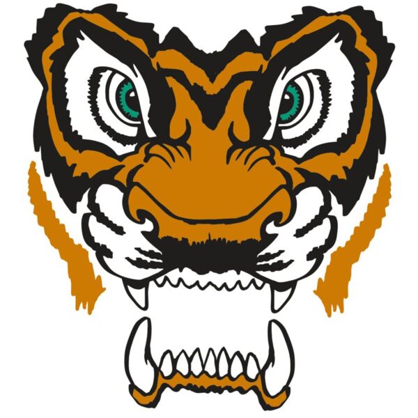 AR TIGER 11 RC Vignette