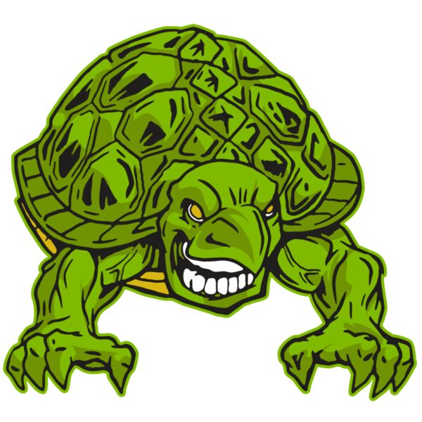 AR31 TURTLE 03 RQC Vignette