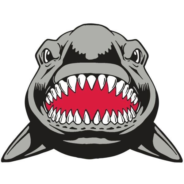 AR  SHARK 25 RC Vignette