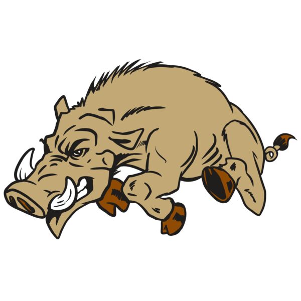 AR20 RAZORBACK 37 RQC Vignette