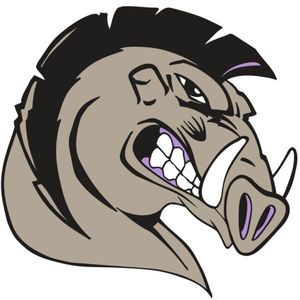 AR RAZORBACK 11 RC Vignette