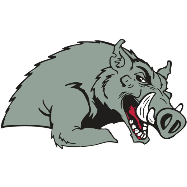 AR RAZORBACK 14 RC Vignette