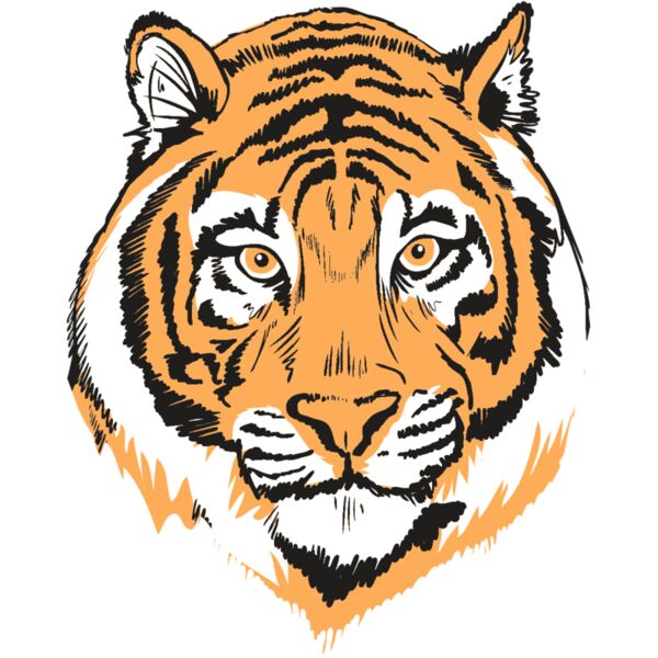 AR9 TIGER HEAD RQC Vignette