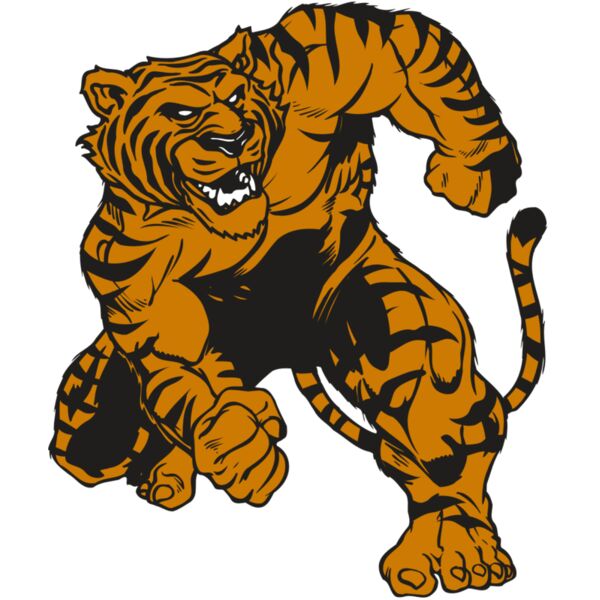 AR TIGER 58 RC Vignette