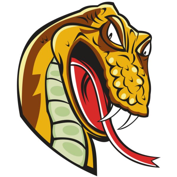 SNAKE HD0502 RQC Vignette