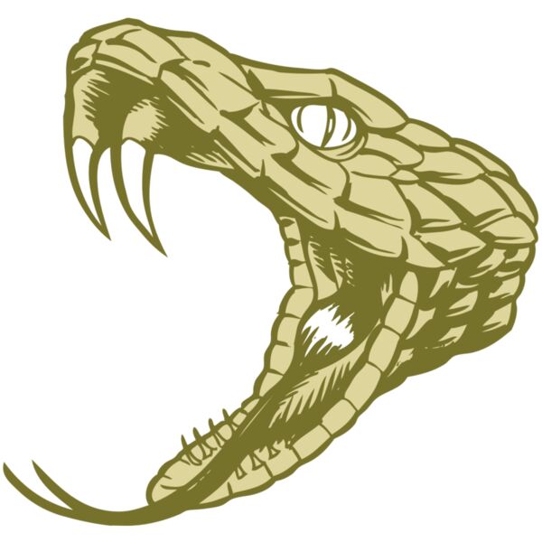 BAW SNAKE 11 RC Vignette