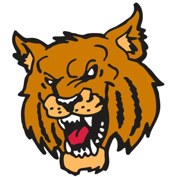 AR WILDCAT 36 RC Vignette