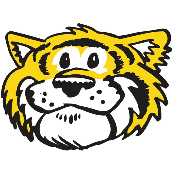 AR TIGER 90 RC Vignette