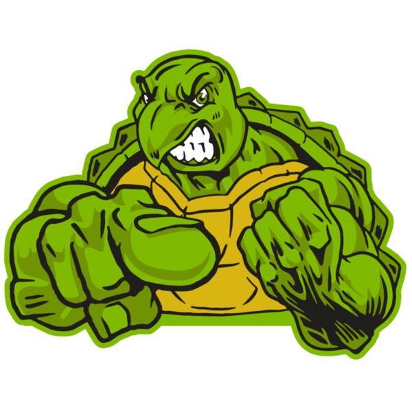 AR31 TURTLE 02 RQC Vignette