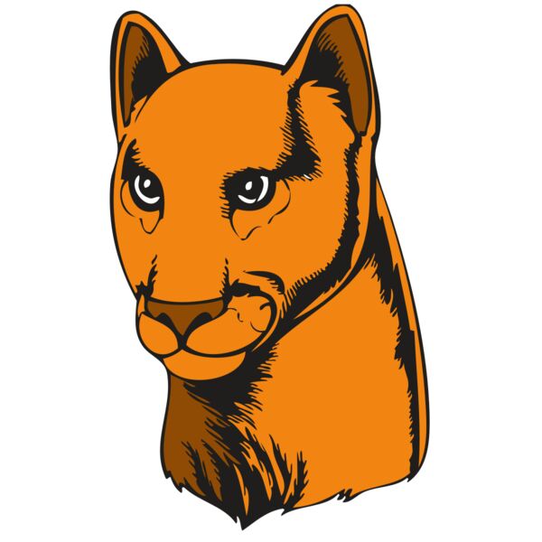 BAW COUG PANTH 07 R Vignette