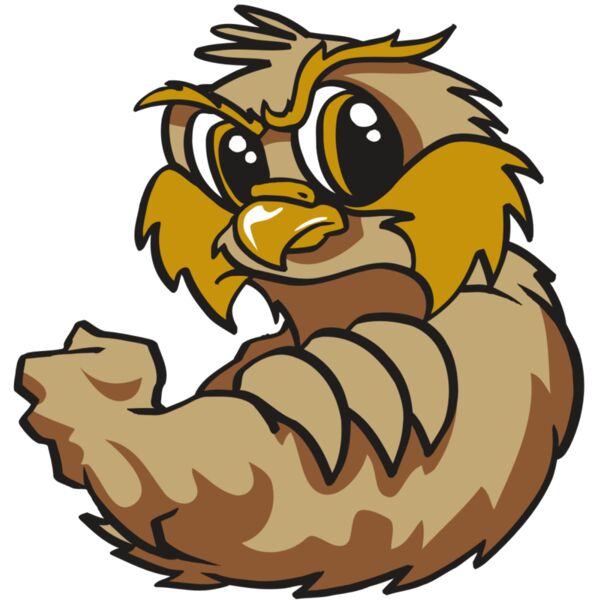 AR OWL 14 RC Vignette