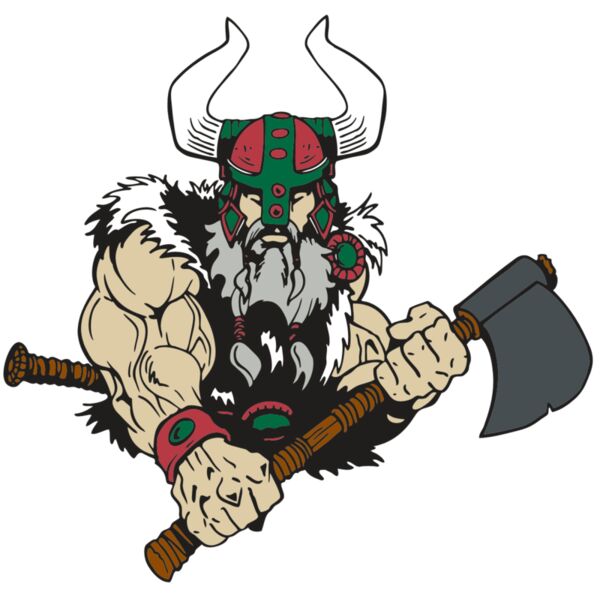 AR VIKING 40 RC Vignette