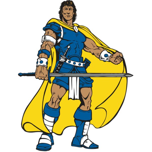 AR PALADIN 49 RC Vignette