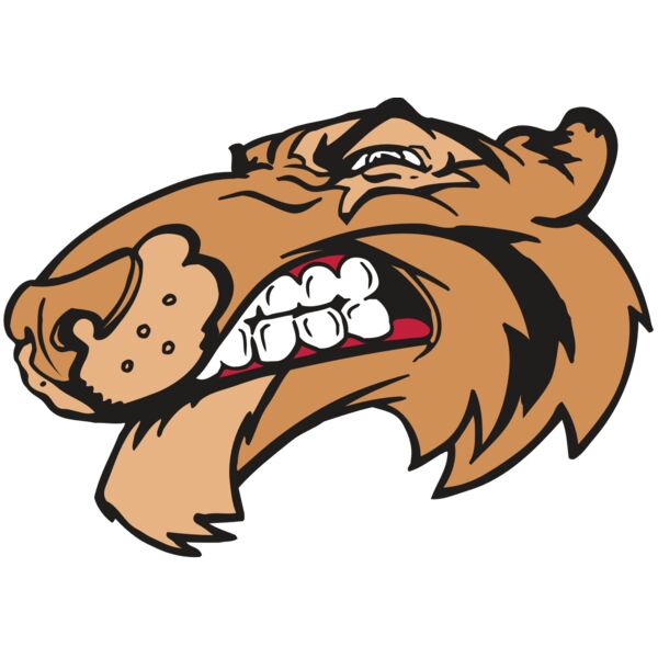 AR5 Tiger 13 RQC Vignette