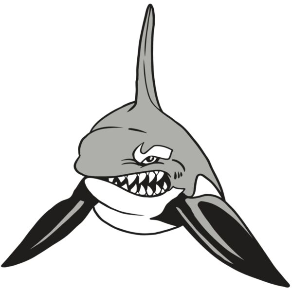 AR19 ORCA 03 RQC Vignette